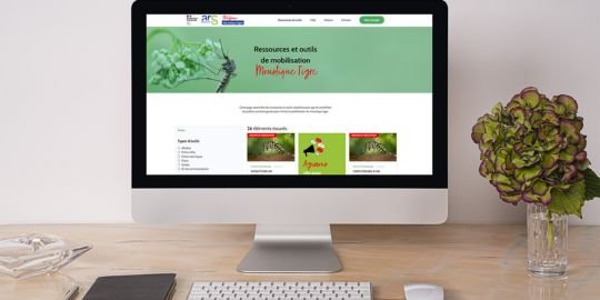 Moustique_Tigre_Plateforme_540x270