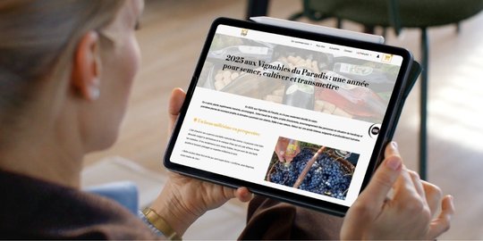Mockup tablette VDP 540x270