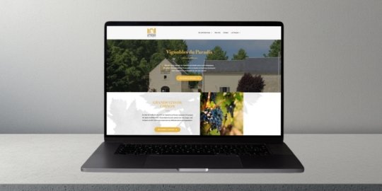 Design de site internet moderne