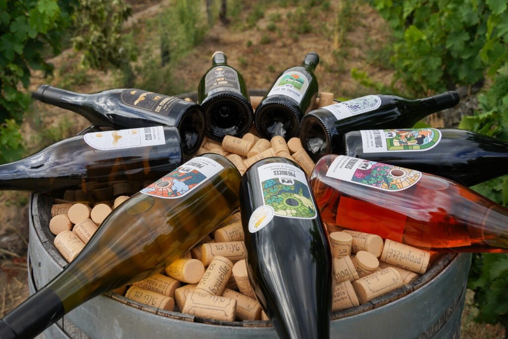 Refonte étiquettes vin